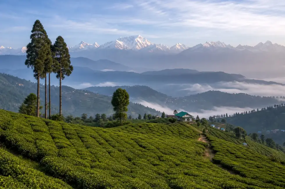 Lava Lolegaon Tour